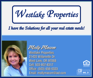 Westlake Properties