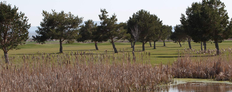 Desert Peaks Golf Club