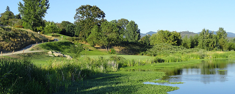 Dutcher Creek Golf Course