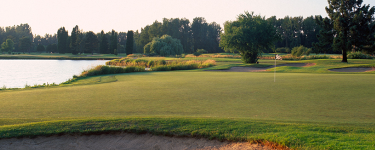 Heron Lakes - Green Back