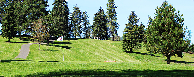 Stewart Park Golf Course