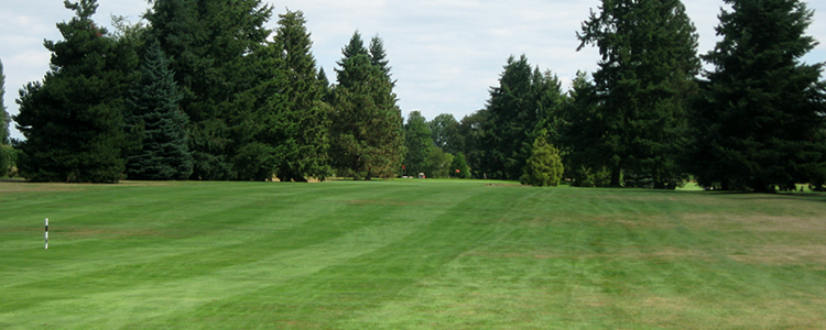 Sunset Grove Golf Club