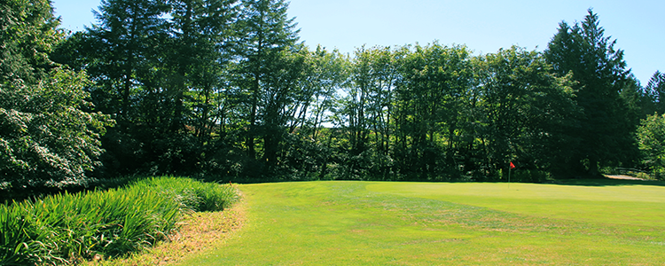 The Cedars on Salmon Creek