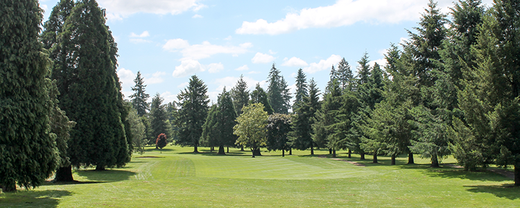 The Golf Club of Oregon