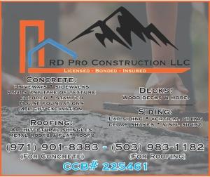 RD Pro Construction LLC