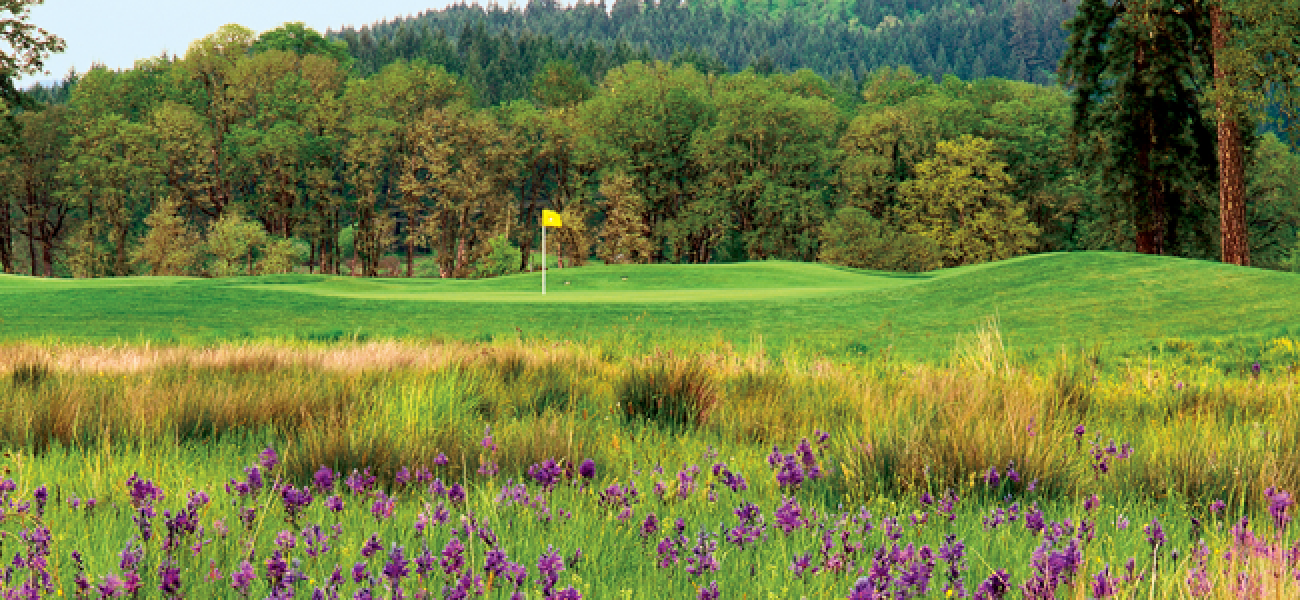 Mallard Creek Golf Course