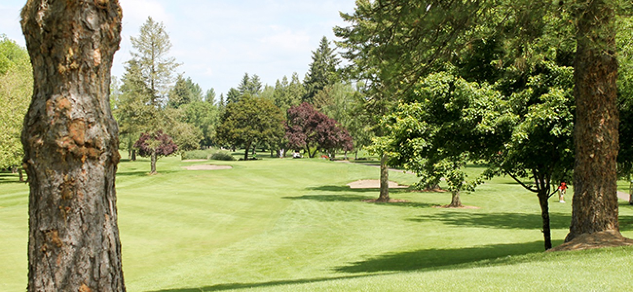 Golf Lessons Explore Oregon Golf