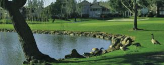 Charbonneau Golf Club