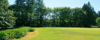 The Cedars on Salmon Creek